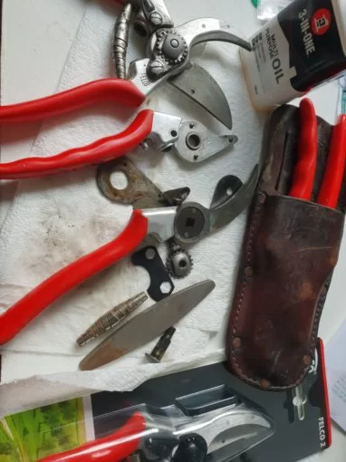 Felco No.2 Secateurs Tried and tested Review