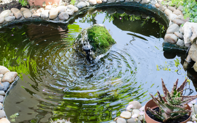 How to build a garden pond.