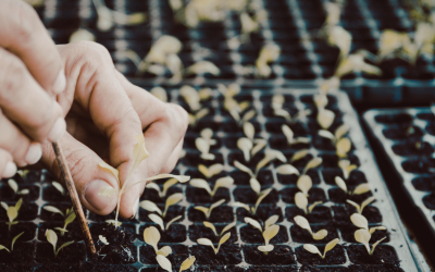 Why you should consider a propagator