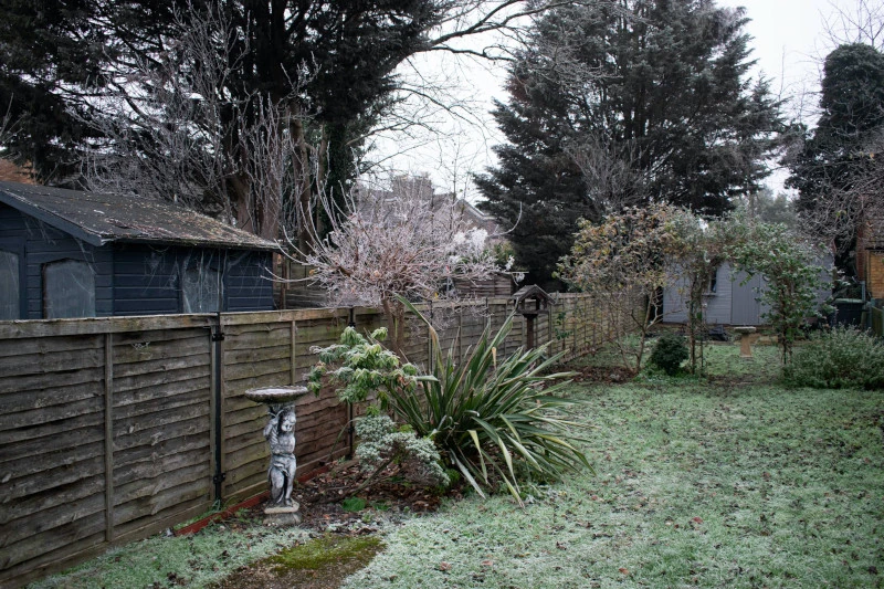 An English garden in the winter