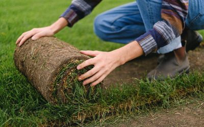 10 step guide to laying Turf