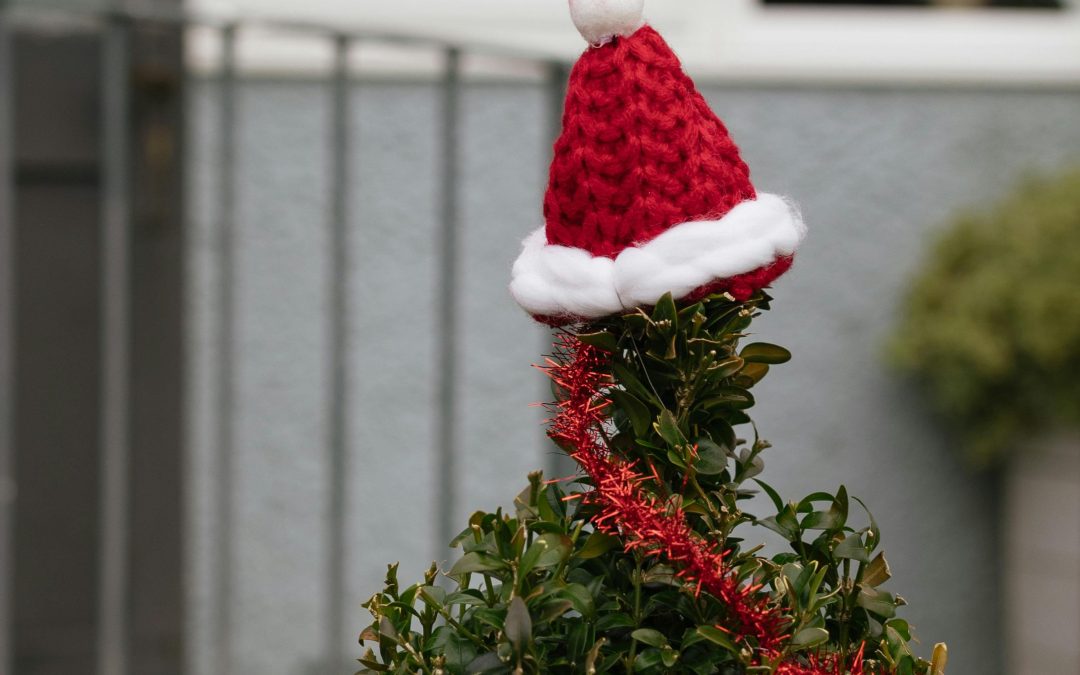 Your Christmas Garden Checklist: