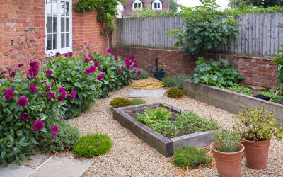 Planning an Easy-to-Maintain Garden