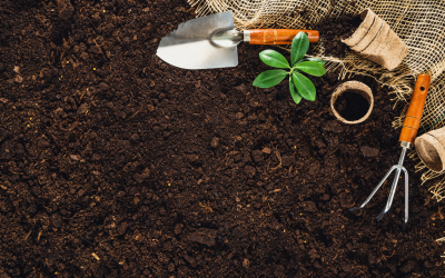 How to Improve Garden Soil