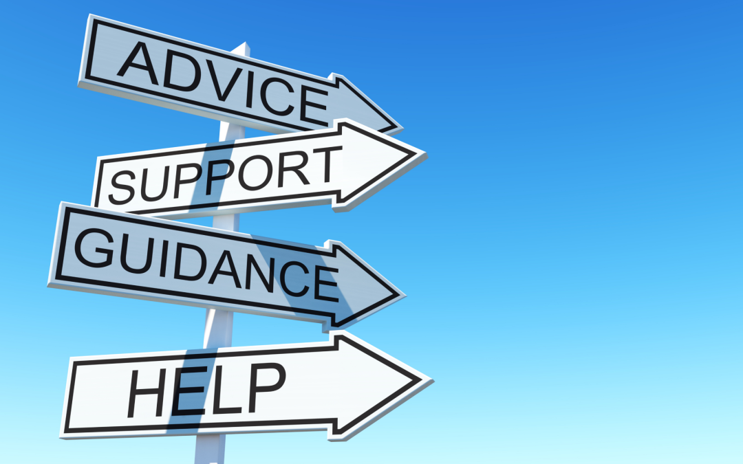 Why We Offer Free Garden Advice by Email