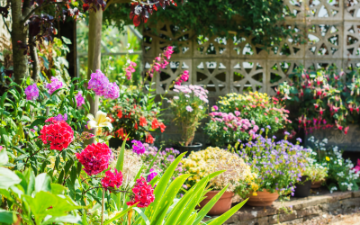 What to Do in Your Garden This Month: July